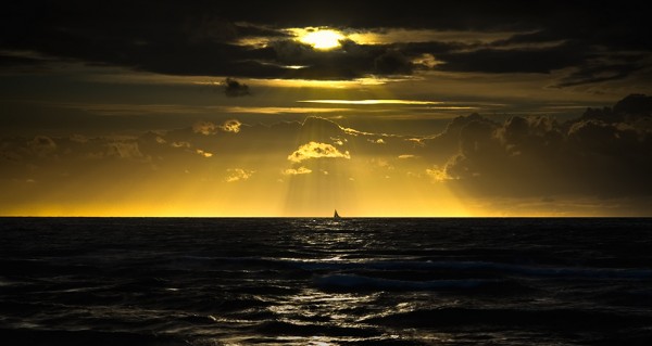 черно-желтое небо и море