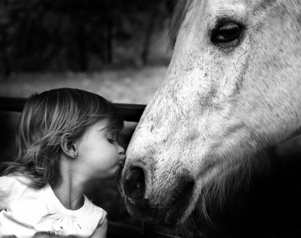 нежность в картинках: ребенок целующий лошадь